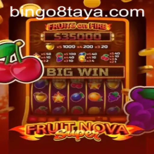 Exploring FruitNovaSuper: A Thrilling Experience at Bingo8 Com